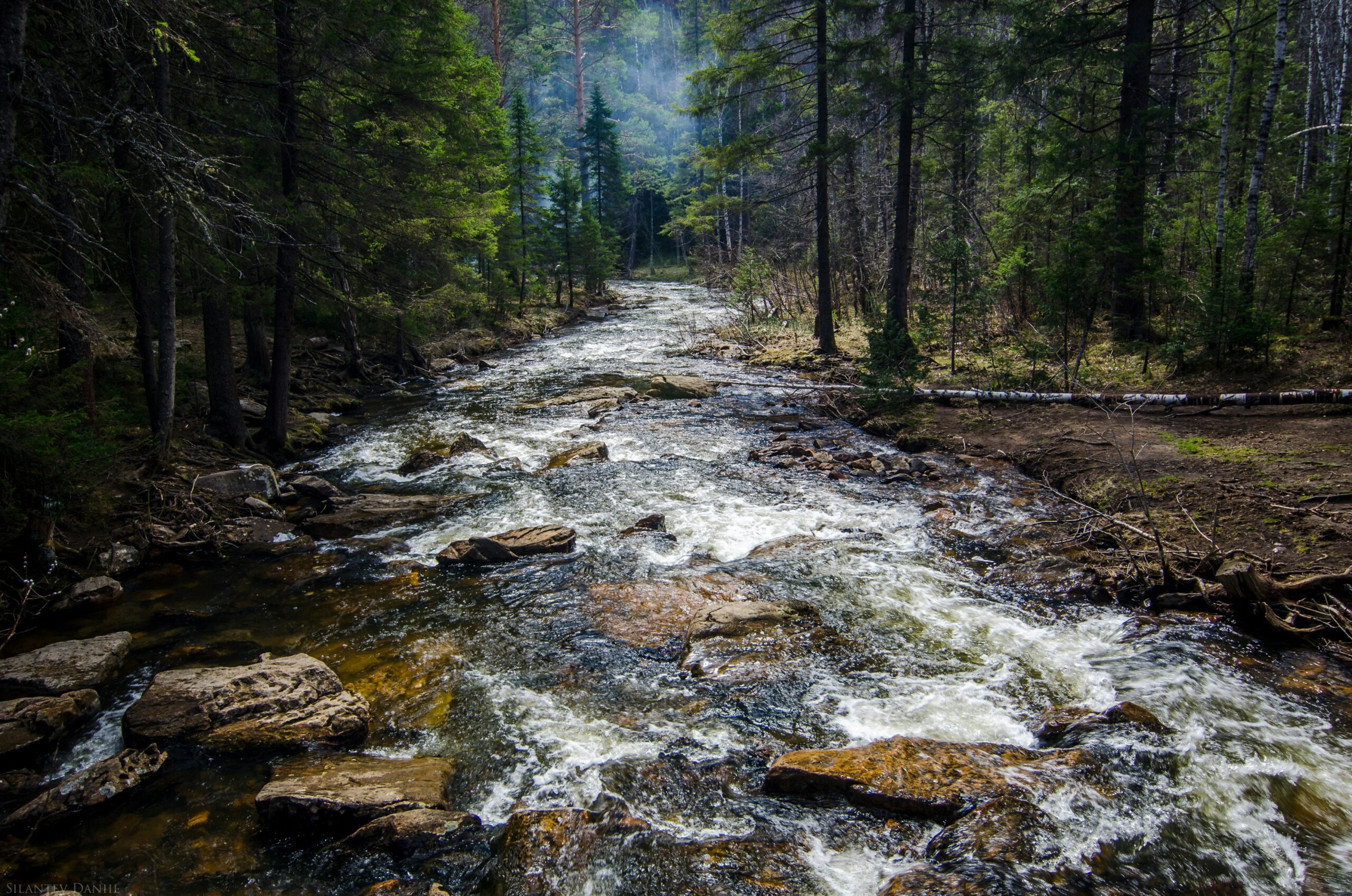 bluefire wilderness