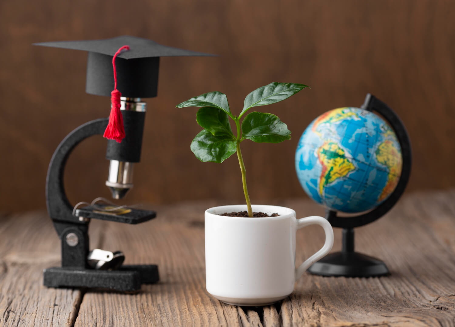 Science and Innovation